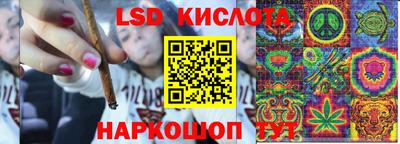 твердый Новодвинск