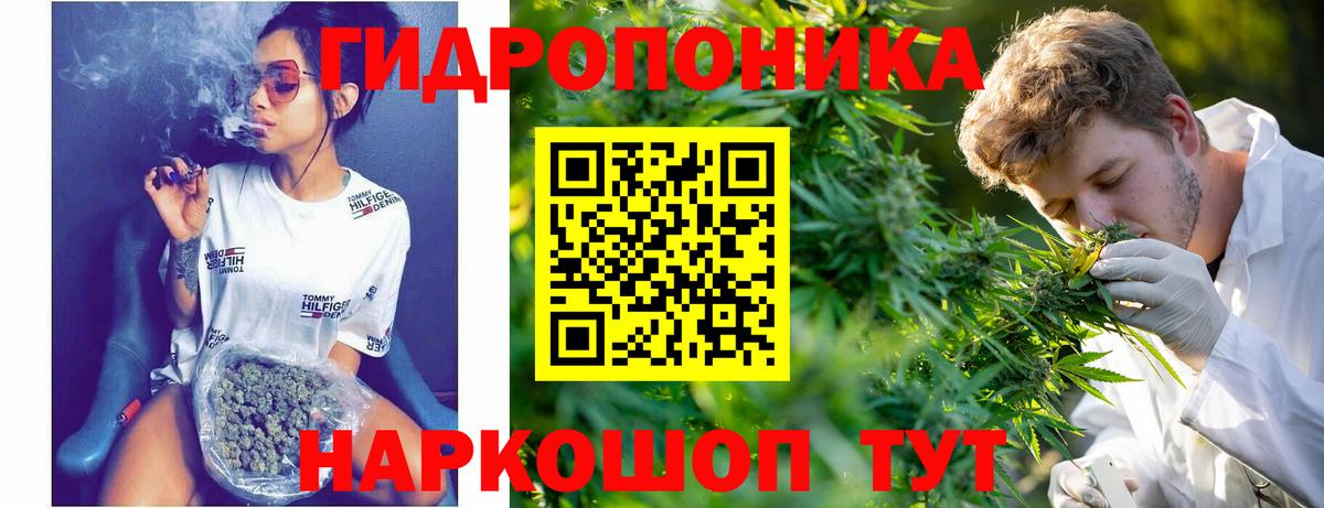 Петровск  Марихуана марихуана  Вход с VPN  Марихуана Ganja 